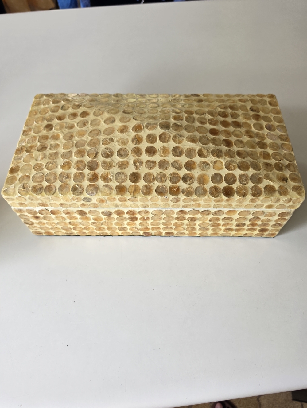 Large Mother of Pearl Box 14x7x4"